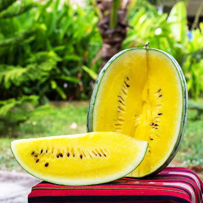 Watermelon F1 Yellow Hybrid Black Seeds - 200 Seeds (Pila Tarbooj/पीला तरबूज के बीज)