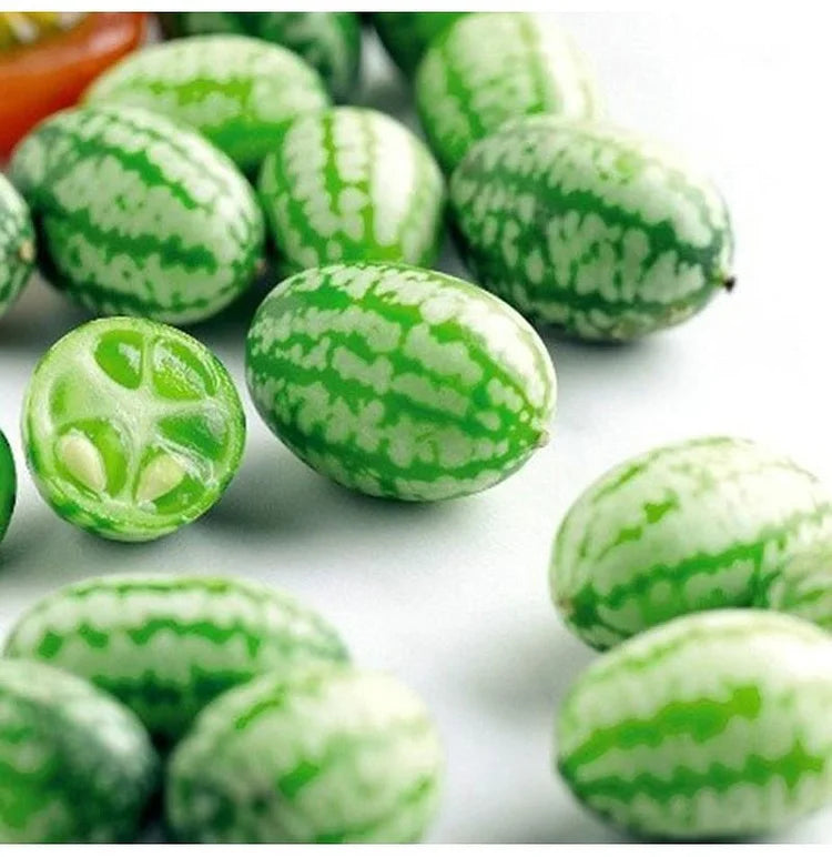 Thumb Watermelon Seeds (Imported Rare Seeds Of High Quality)