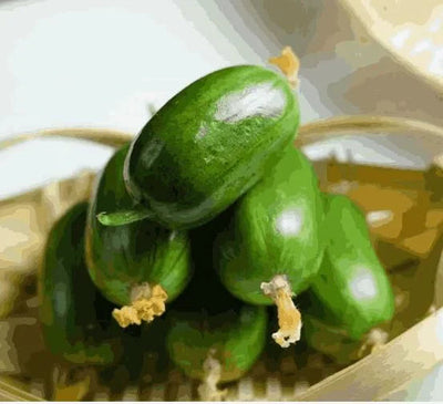 🥒Jade Lady Cucumber Black Seeds 🥒(💪 20,000+ Satisfied Customers)