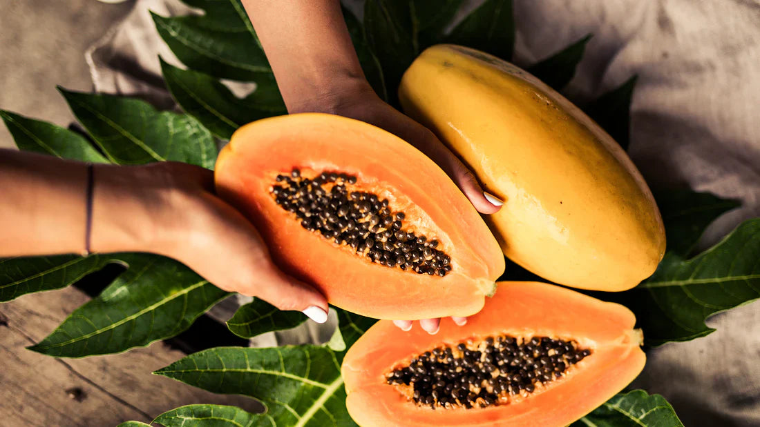 Special Papaya Seeds - Golden Papaya - Imported & Limited stock!🔥 (💪 23,753+ Satisfied Customers)