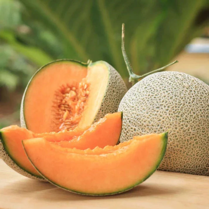 Musk Melon Hybrid Black Seeds - 200 Seeds (kharabooja/खरबूजा के बीज)