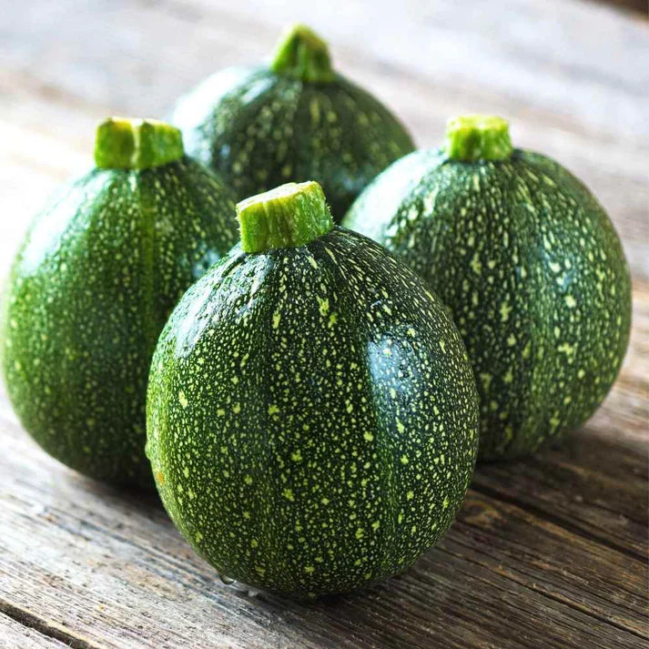 Summer Squash (Chappan Kaddu) Hybrid Black seeds (200 Seeds)