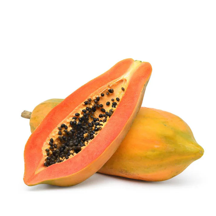 Red Long Papaya F1 Hybrid Black Seeds - 200 Seeds (Papita/पपीता के बीज)