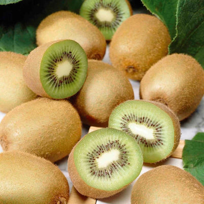 Kiwi Seeds Imported Suitable For Home Planting🥝 (💪 20,000+ Satisfied Customers)